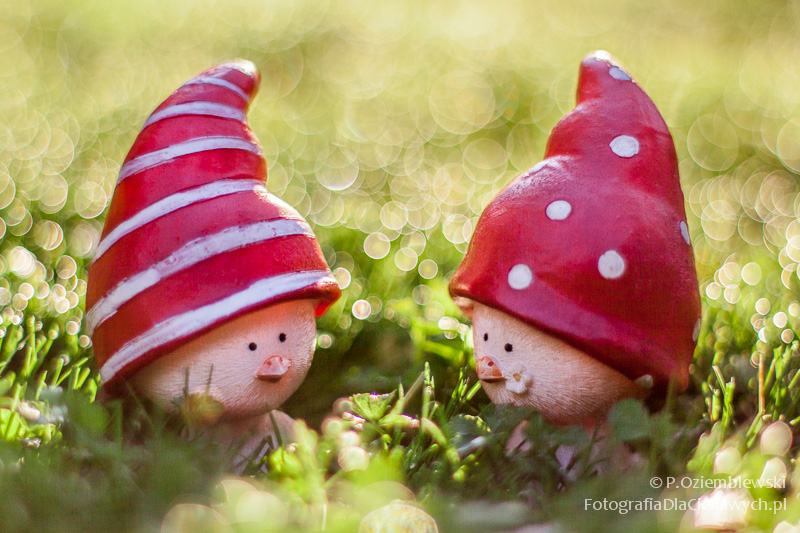 Magia głębi ostrości i ozdobnego rozpraszania tła (ebook) - obrazek 24