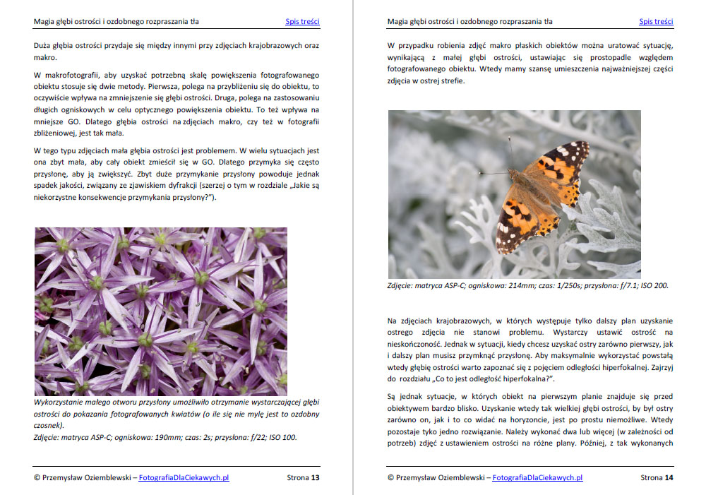 Magia głębi ostrości i ozdobnego rozpraszania tła (ebook) - obrazek 4