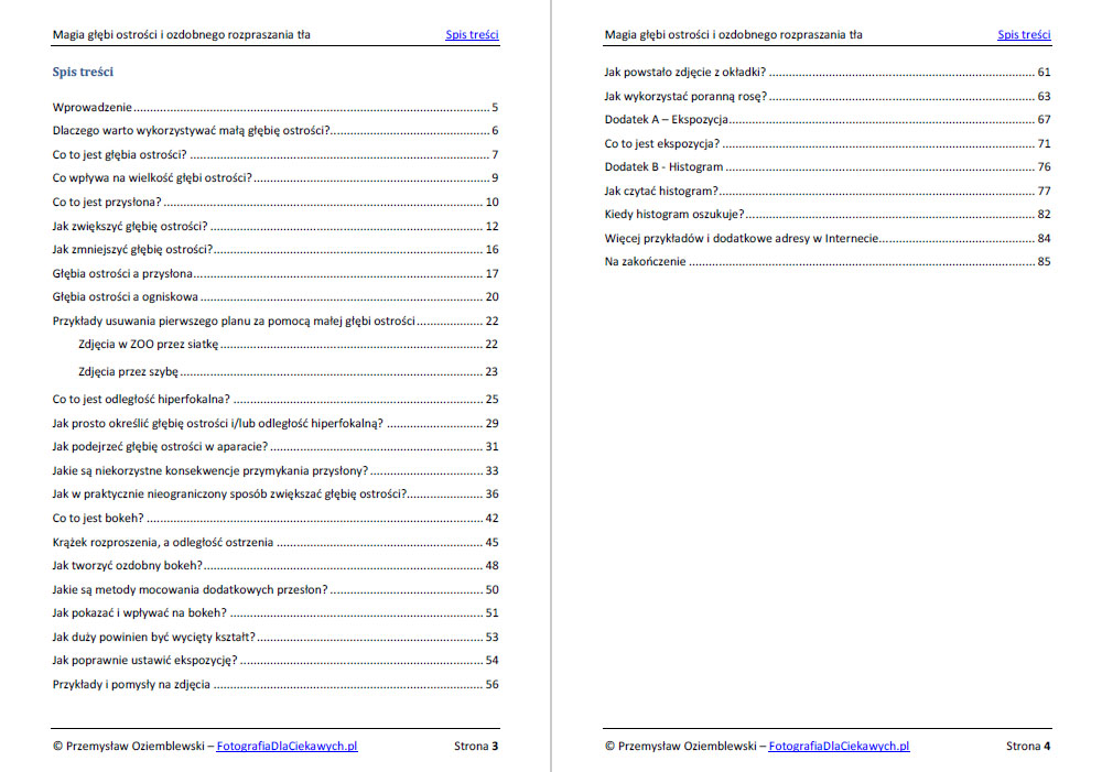 Magia głębi ostrości i ozdobnego rozpraszania tła (ebook) - obrazek 2