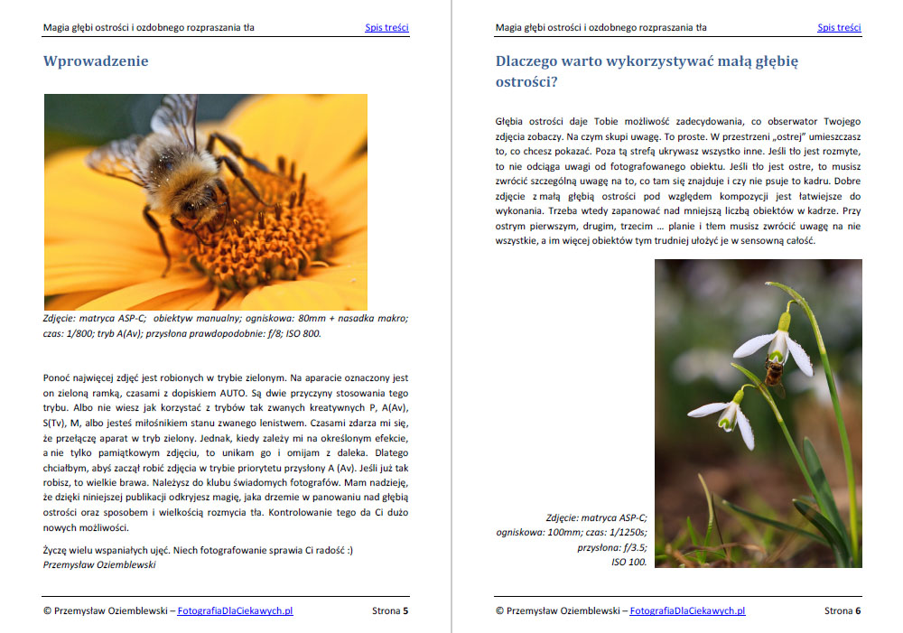 Magia głębi ostrości i ozdobnego rozpraszania tła (ebook) - obrazek 3