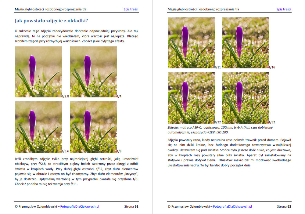 Magia głębi ostrości i ozdobnego rozpraszania tła (ebook) - obrazek 7