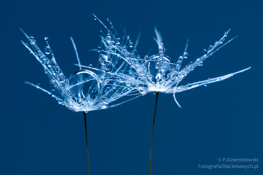 Sekrety światła (ebook) - obrazek 17