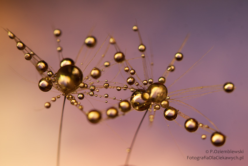 Sekrety światła (ebook) - obrazek 16