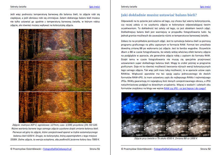 Sekrety światła (ebook) - obrazek 6