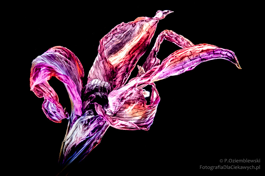 33 eksperymenty fotograficzne (ebook) - obrazek 9