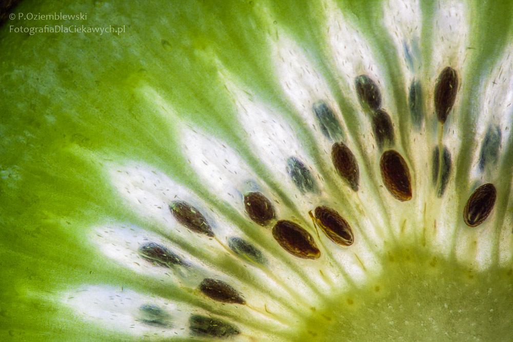 33 eksperymenty fotograficzne (ebook) - obrazek 27