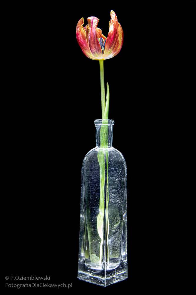 33 eksperymenty fotograficzne (ebook) - obrazek 32