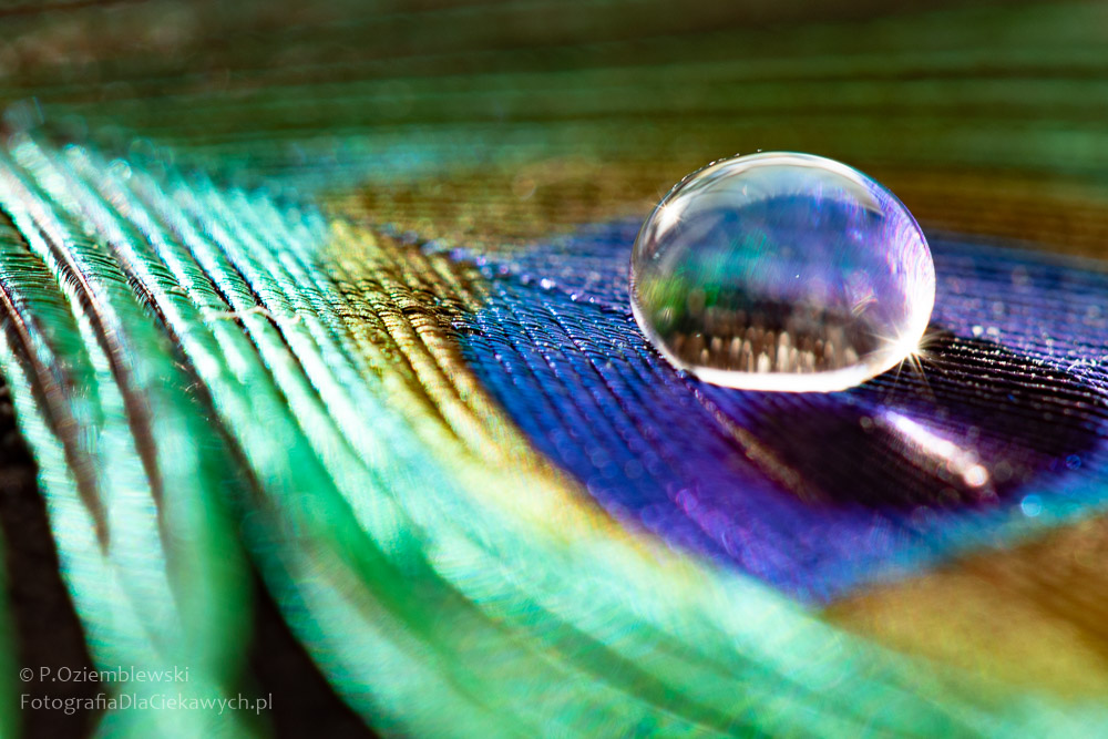 33 eksperymenty fotograficzne (ebook) - obrazek 36